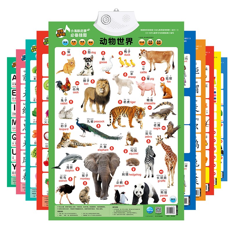 幼美彩国际 官网启蒙必备挂图·双面有声版（全10册）